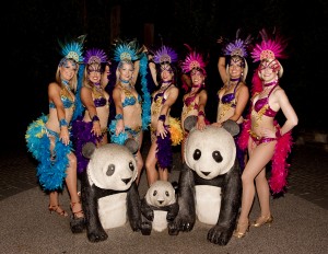Brazilian Dance Fusion performance for Adelaide Zoo corporate event